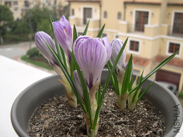 DSCN1416.JPG