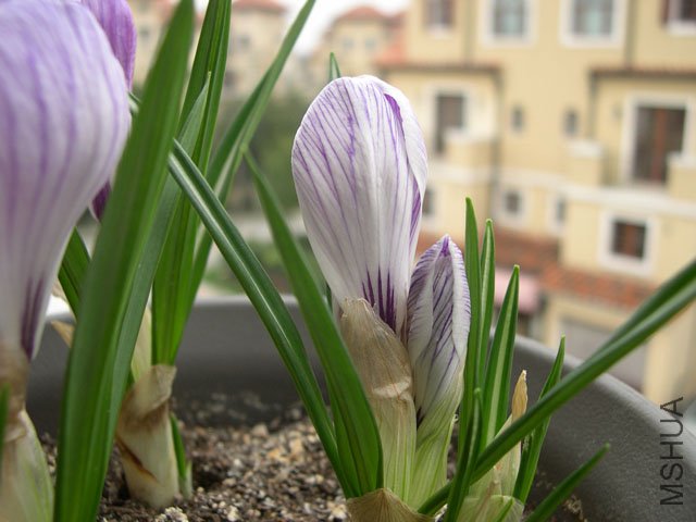DSCN1417.JPG