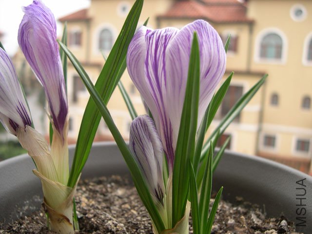 DSCN1418.JPG