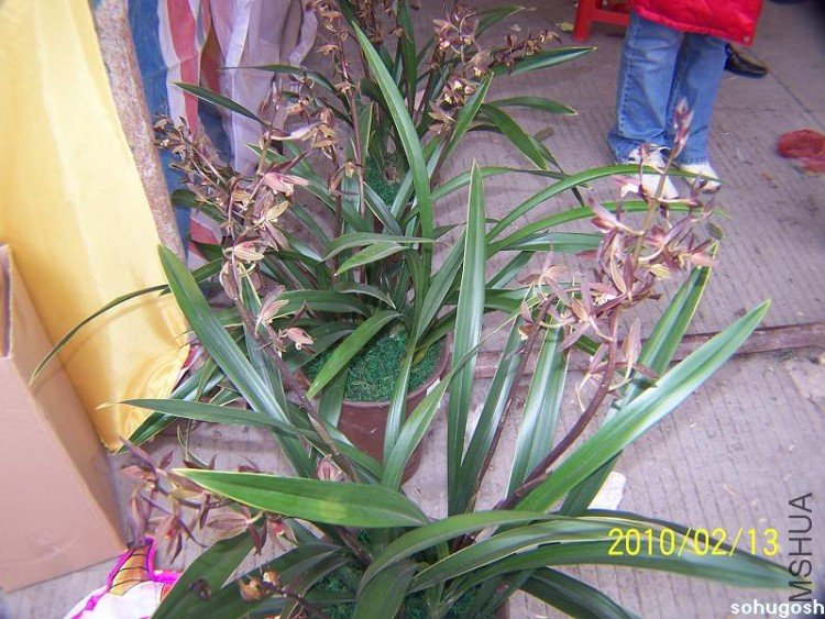 100_8202.jpg