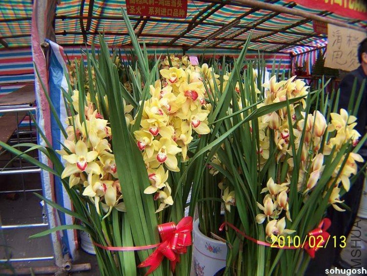 100_8203.jpg
