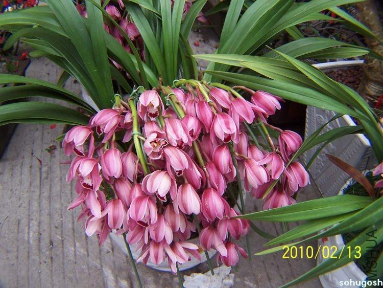 100_8204.jpg