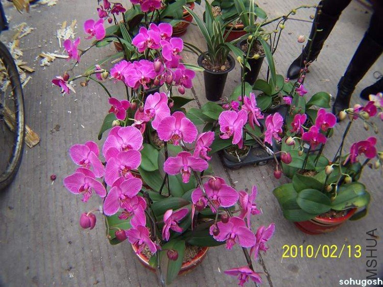 100_8205.jpg