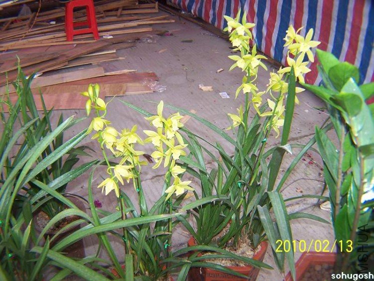 100_8241.jpg