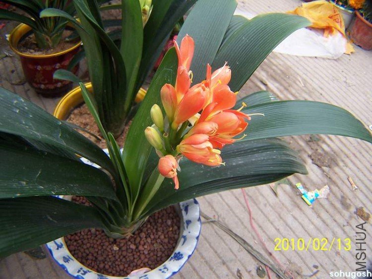 100_8265.jpg
