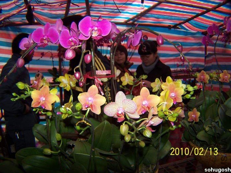 100_8281.jpg