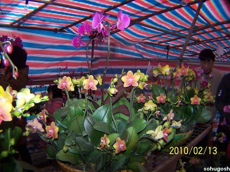 100_8282.jpg