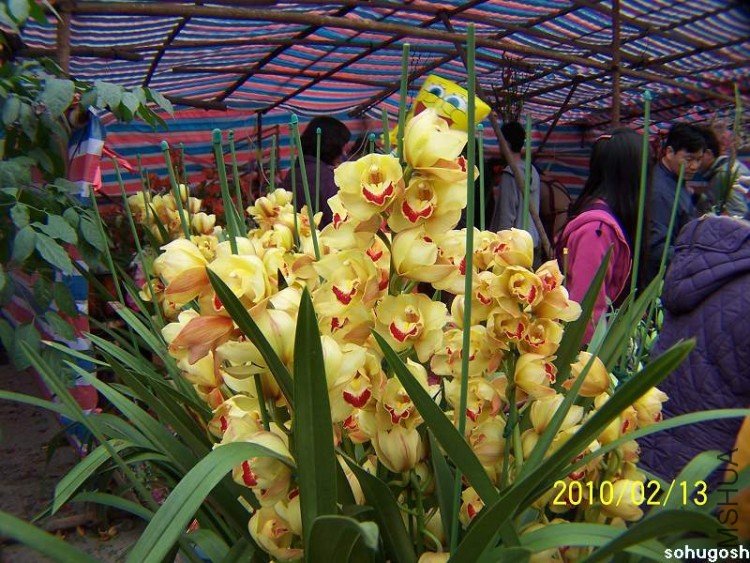 100_8283.jpg