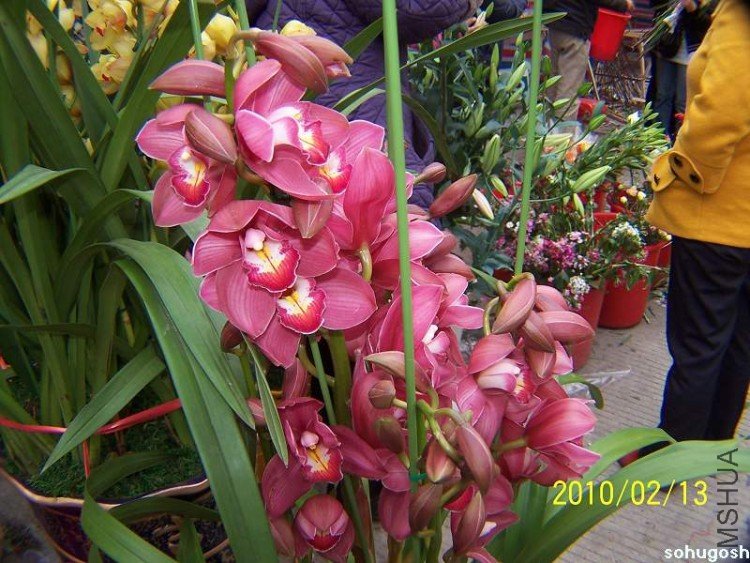 100_8284.jpg