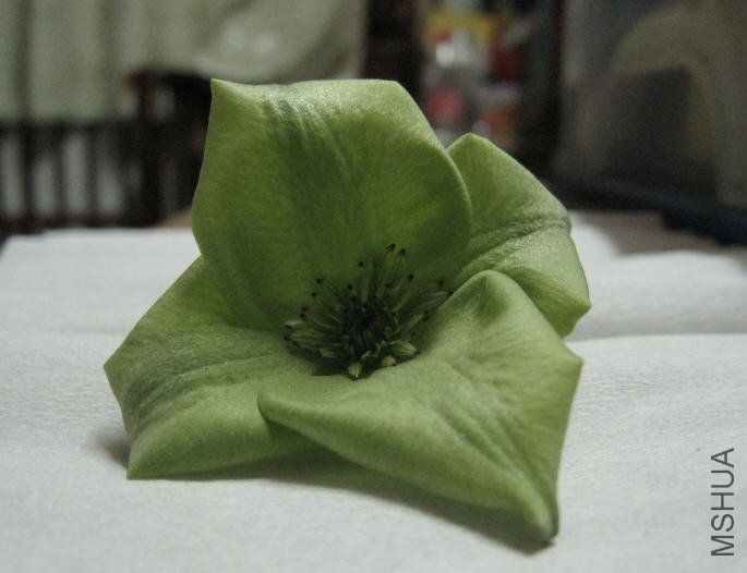 2010-02-03 ����-��.jpg