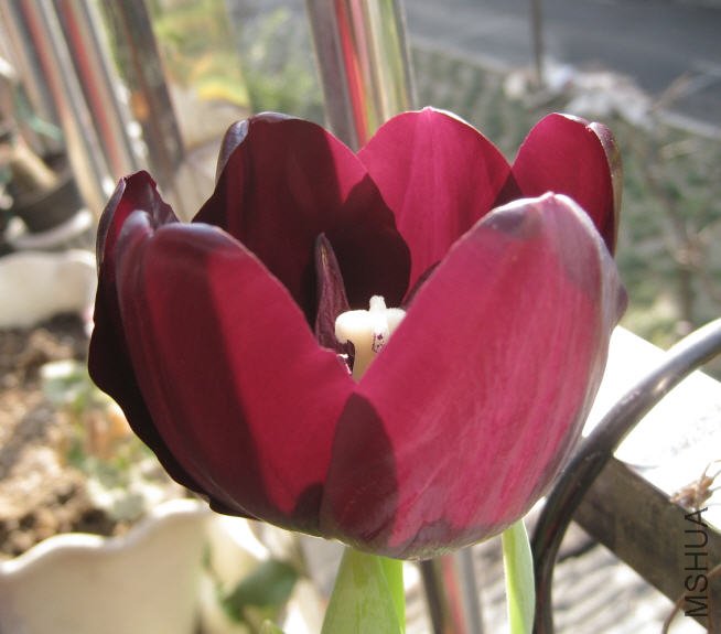 2010-02-09 ������-����.jpg