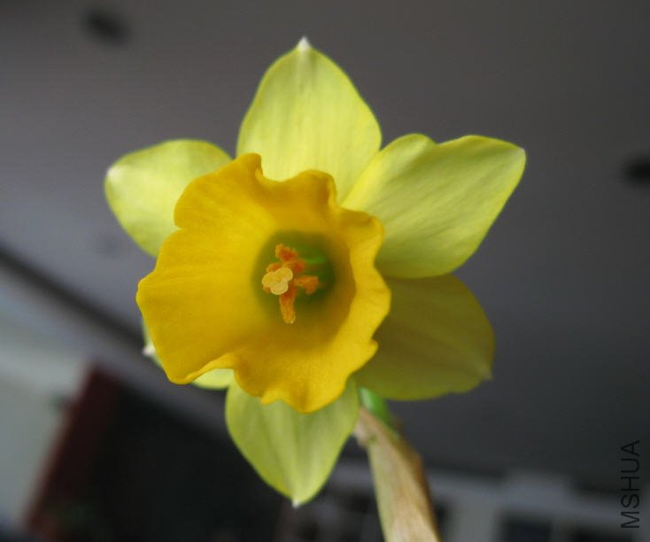 2010-02-20 �ɿ�����ˮ��.jpg