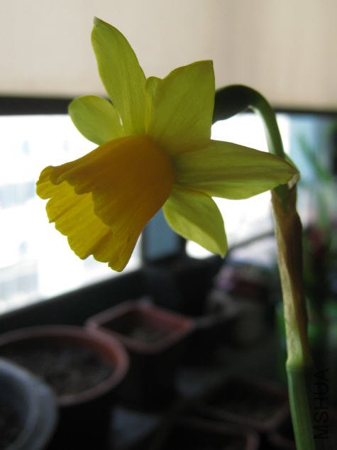 2010-02-20 �ɿ�����ˮ�ɲ�Ӱ.jpg