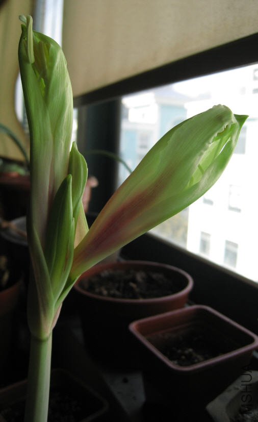 2010-02-20 ҹ��.jpg