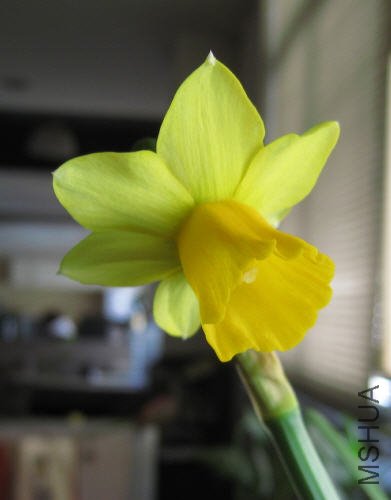 2010-02-20 �ɿ�����ˮ��-��.jpg