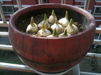 201002131071.jpg
