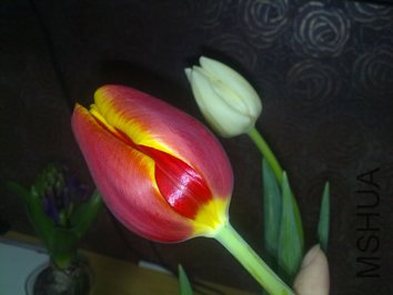 201002101056.jpg