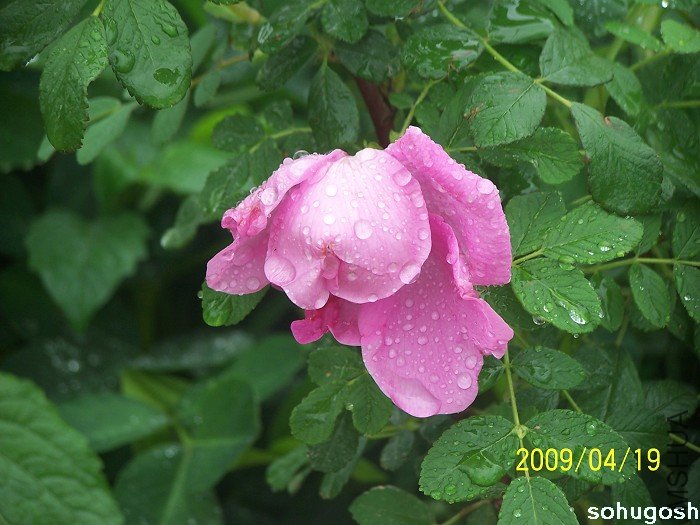 100_2362.jpg