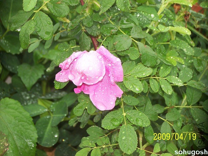 100_2361.jpg