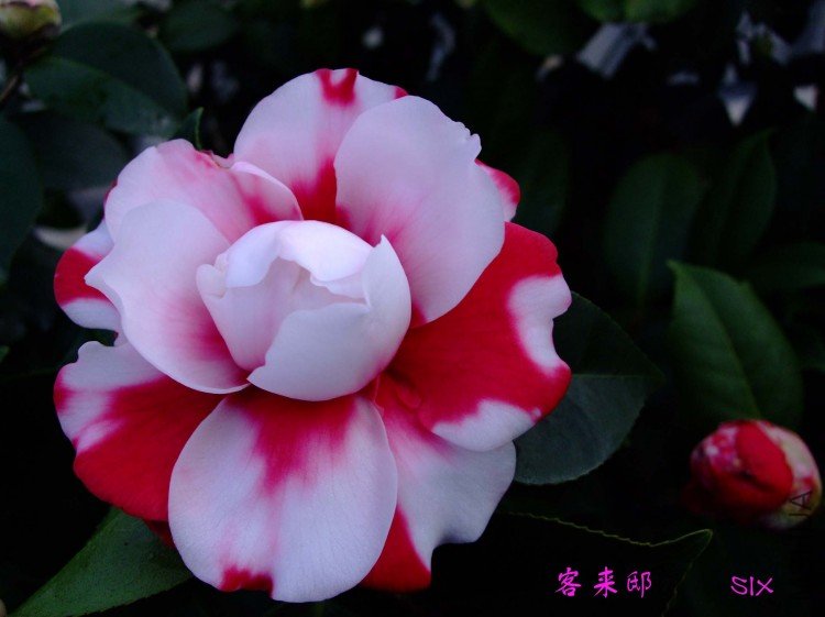 ����ۡ 10-2-21(1).jpg