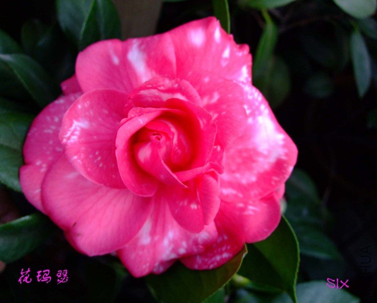 ����ɪ 10-2-21.jpg