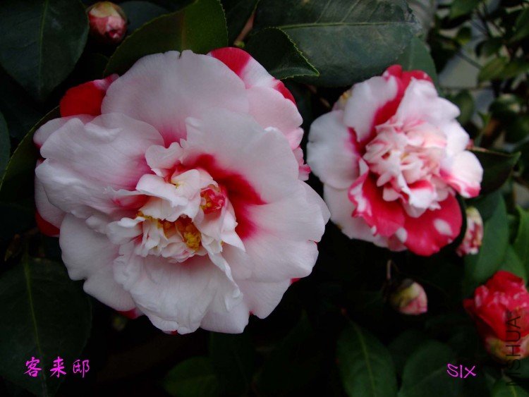 ����ۡ 10-2-22 (3).jpg