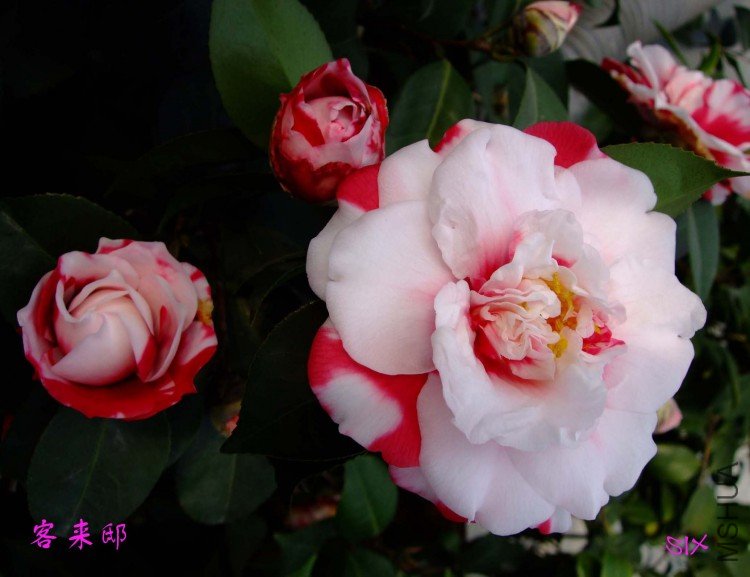 ����ۡ 10-2-22(1).jpg