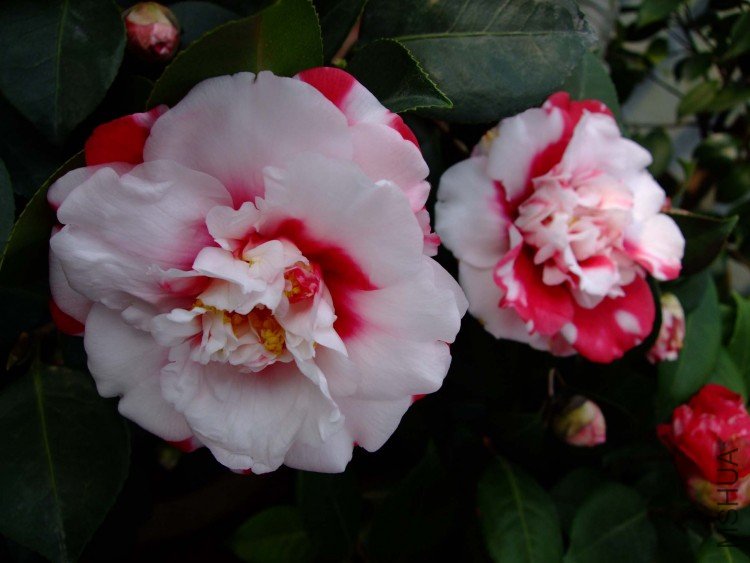 ����ۡ 10-2-22 (2).jpg