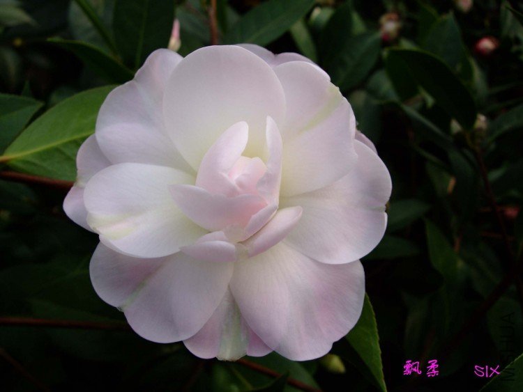 Ʈ�� 10-2-22(1).jpg