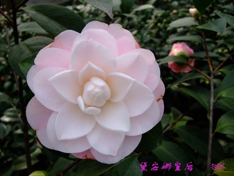 �찲�Ȼʺ� 10-2-22(1).jpg