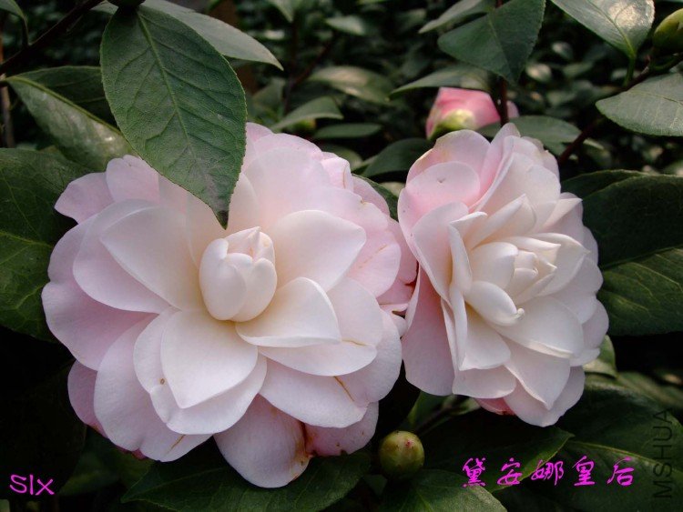 �찲�Ȼʺ� 10-2-22 (3).jpg