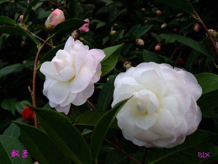 Ʈ�� 10-2-22 (4).jpg