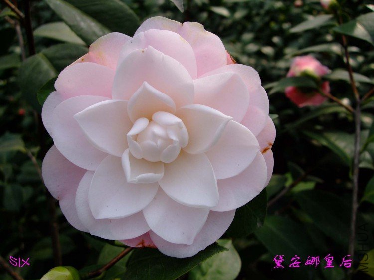 �찲�Ȼʺ� 10-2-22 (2).jpg