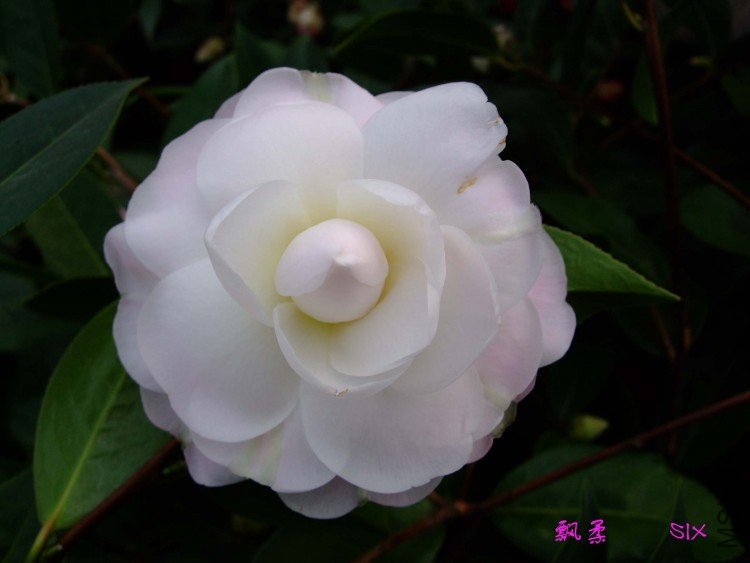 Ʈ�� 10-2-22 (3).jpg