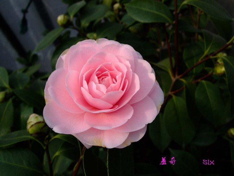 ���� 10-2-22(1).jpg