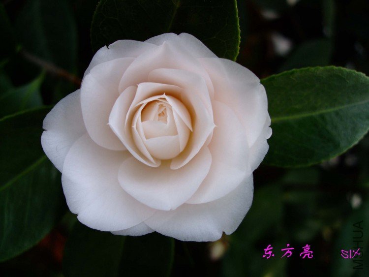 ������  10-2-22(1).jpg