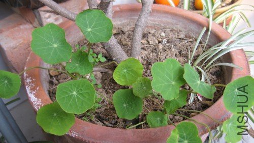 ����10.2.22 001_conew1.jpg