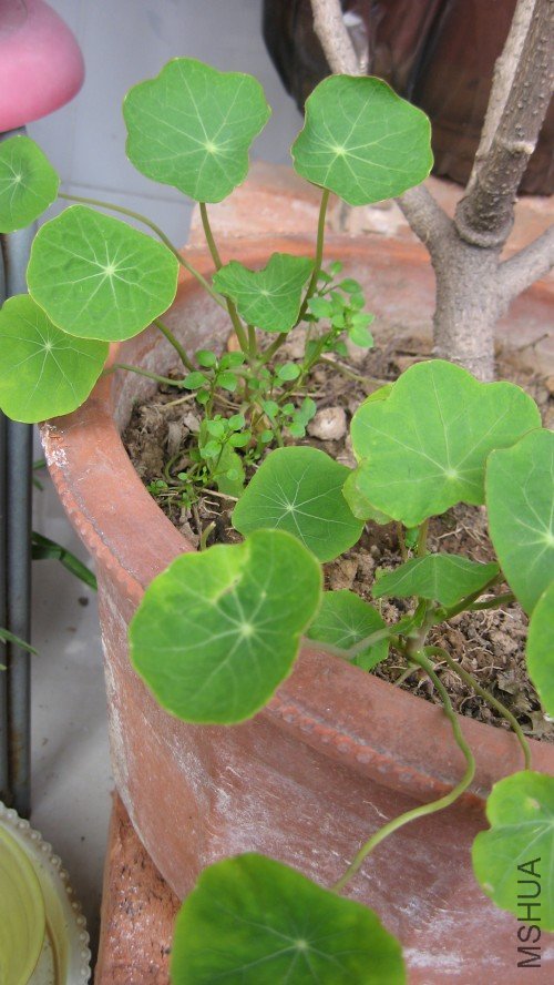 ����10.2.22 003_conew1.jpg