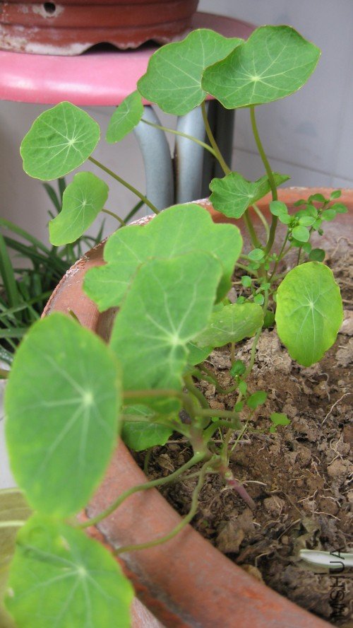 ����10.2.22 002_conew2.jpg