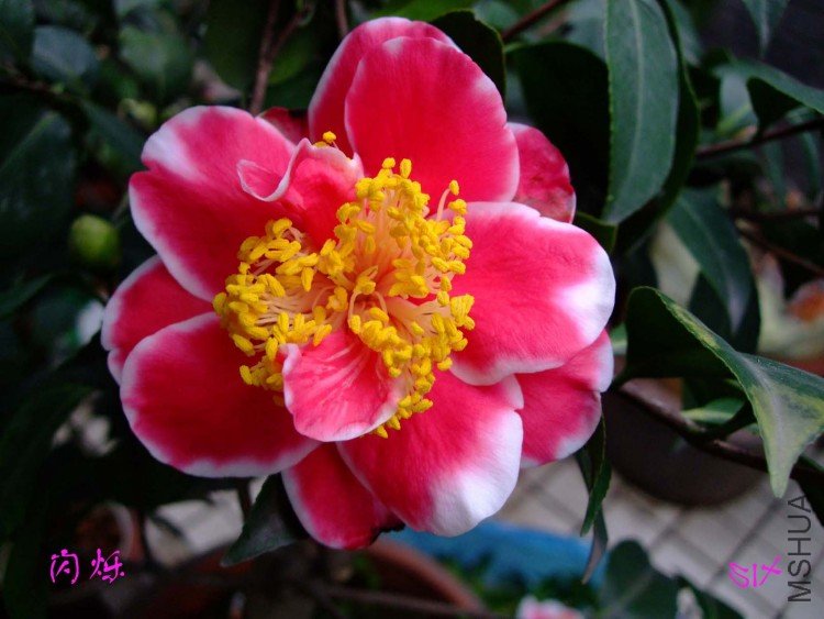 ��˸ 10-2-22f.jpg