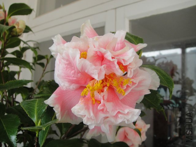 DSC01184.JPG