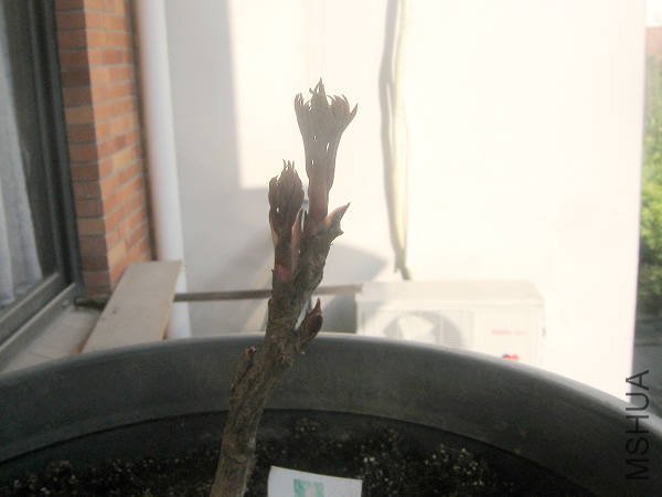 ����100221.jpg