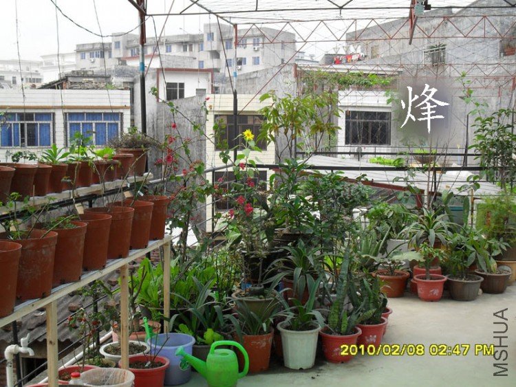 SDC10780.jpg