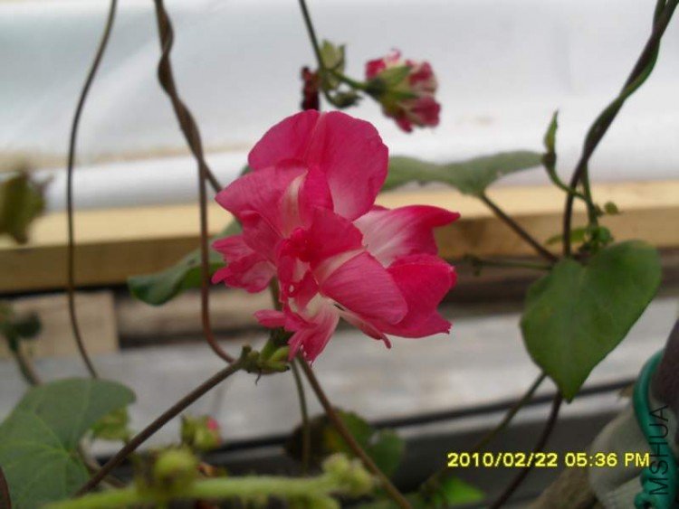 SDC10838.JPG