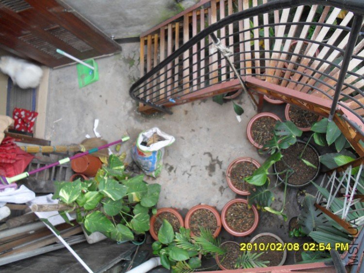 SDC10792.JPG
