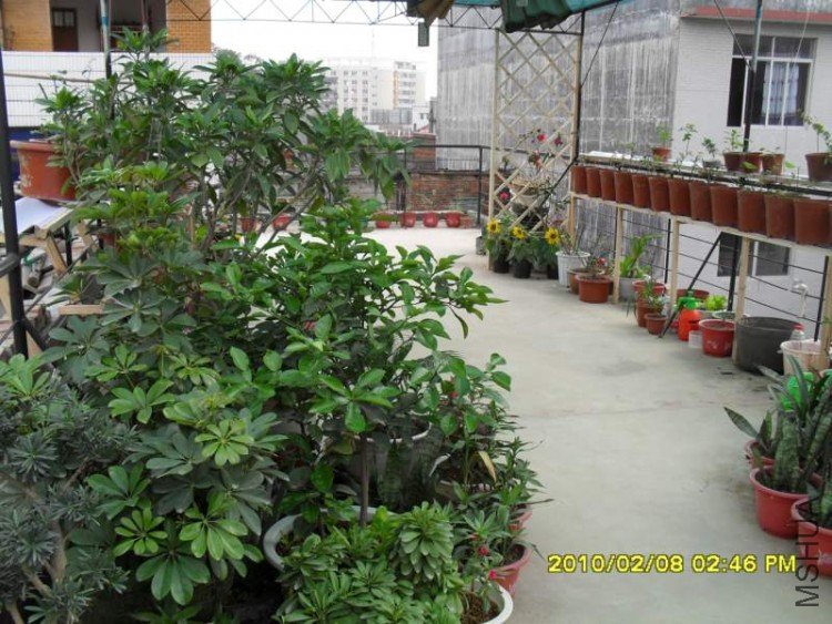 SDC10777.JPG