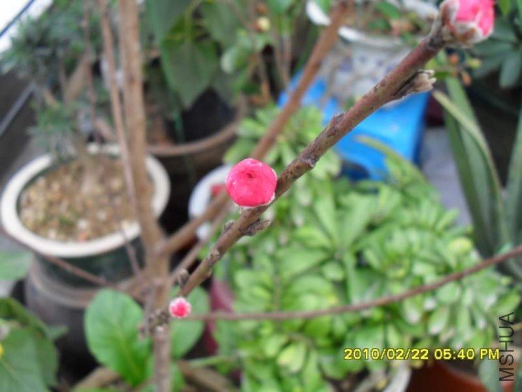 SDC10842.JPG