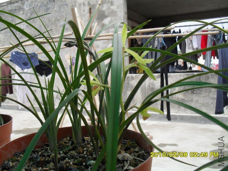 SDC10785.JPG