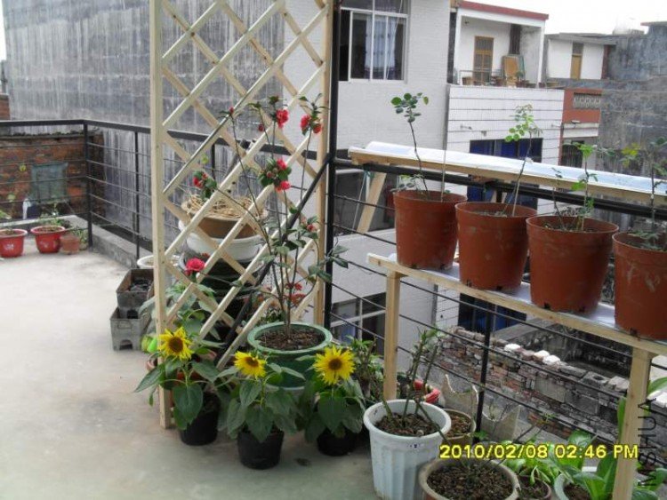 SDC10779.JPG