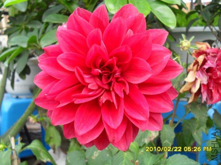 SDC10822.JPG
